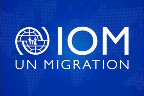 Logo IOM UN Migration